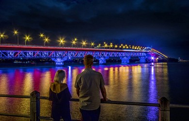 Vector harbour bridge lights 420px