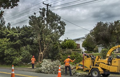 Vegetation management 420px2