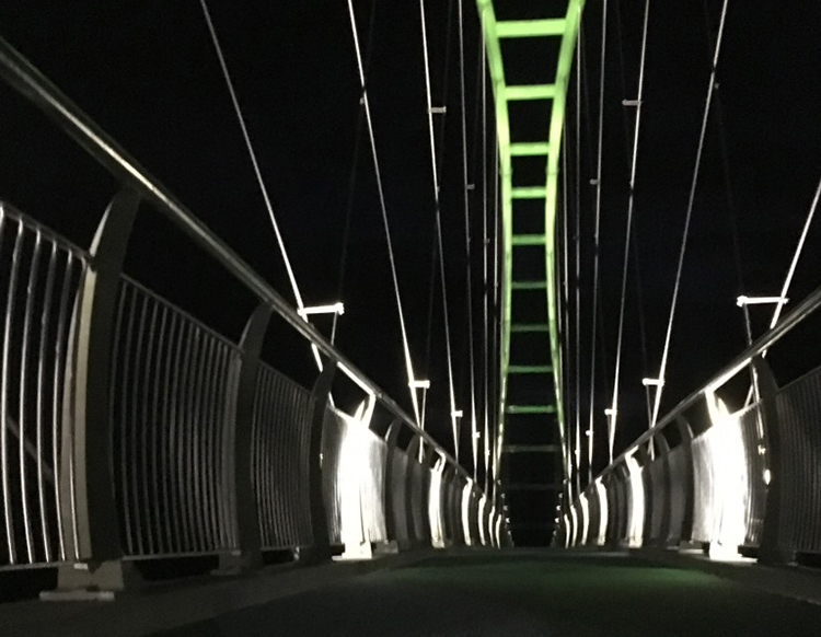 WEL Networks goes off grid to light up Te Awa Cycleway bridge image