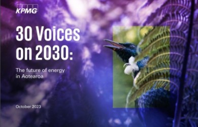 30 voices on 2030 v2featured v2