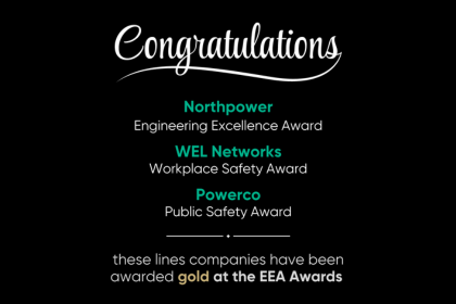 Lines companies win at EEA Awards image