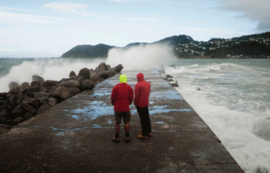 south coast wellington stratocumulus credit dave allen niwa 600pixels